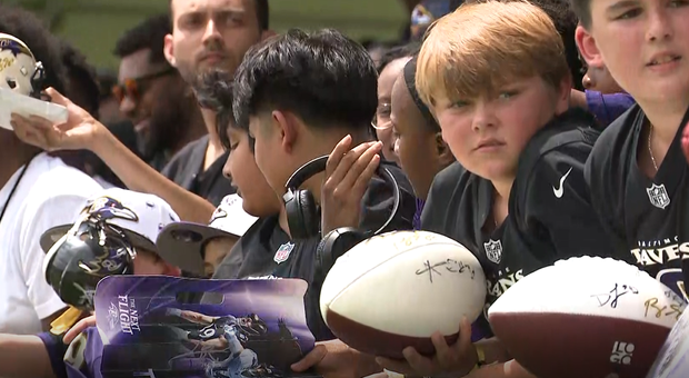 ravens14.png