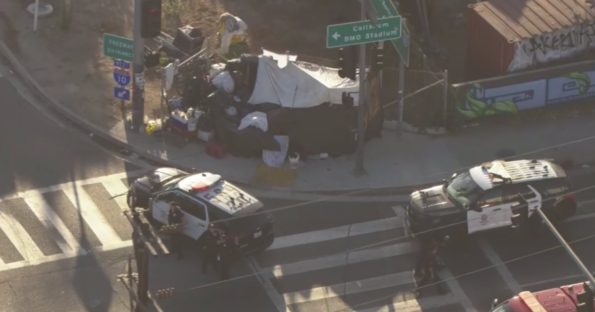 Suspect hospitalized after LAPD shooting underneath 10 Freeway in South Los Angeles