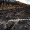 What the fires burning near Bordeaux's vineyards could mean for France's wine industry