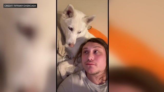 6p-new-pkg-burnsville-dog-death-wccoazop.jpg 