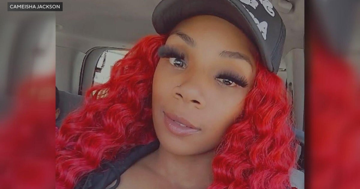 Loved ones mourn Chicago mother of 5 killed in hit-and-run on shoulder of Interstate 57