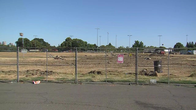 west-sac-bryte-tree-removal.jpg 
