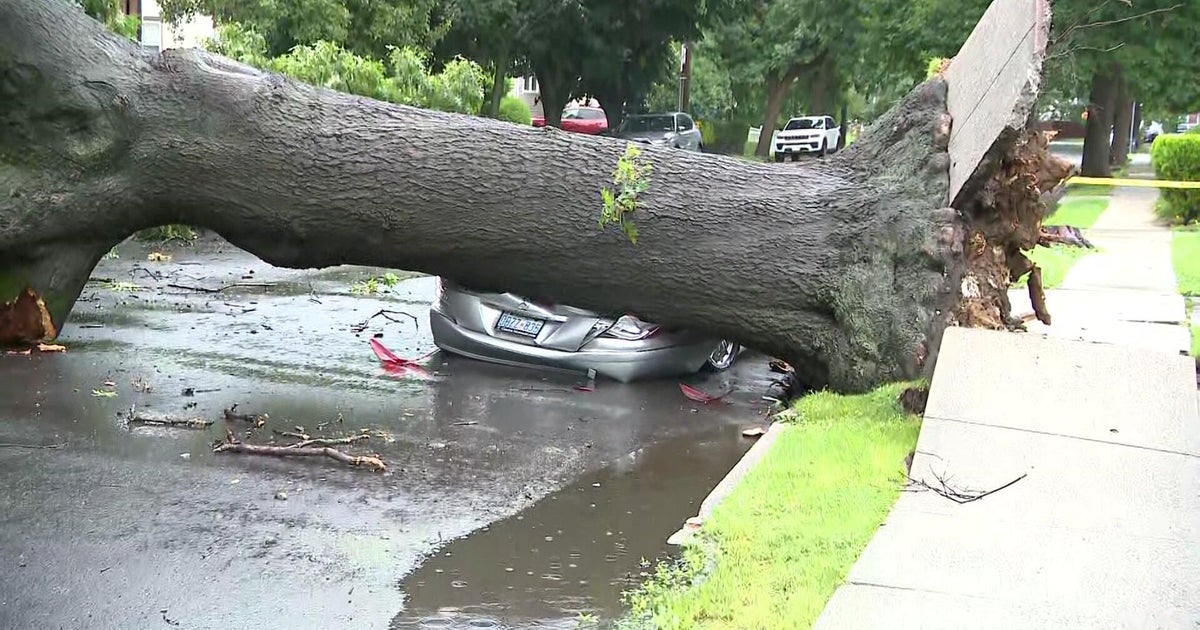 Downpours batter N.Y., N.J. commuities causing flooding, downed trees