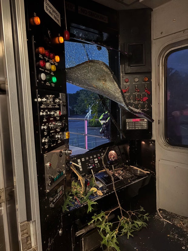 lirr-tree.jpg
