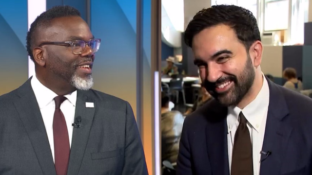 johnson-mamdani.png 