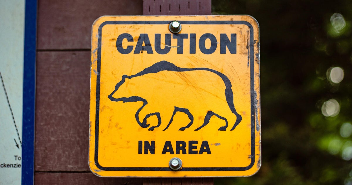 Rocklin bear sighting in Skyline area prompts warning from police