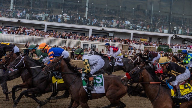 Preakness Announcement Horse Racing 