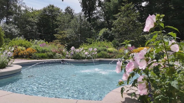 A photo of a small pool and fountain surrounded by blooming flowers at Mount Cuba Center in Hockessin 