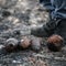WWII explosives detonate in France amid wildfires: Sound of war