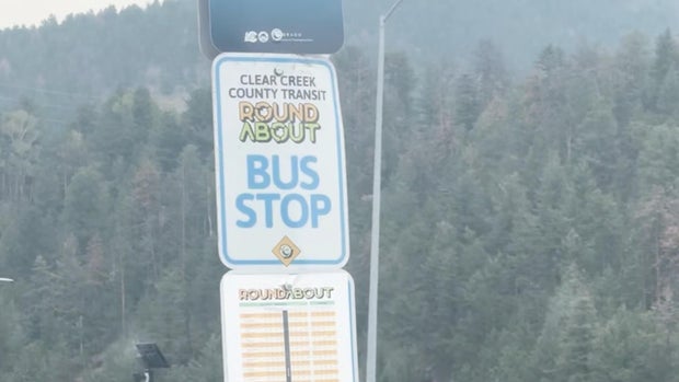 bus1.jpg