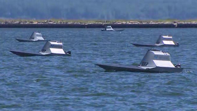 Havoc AI drone boats 