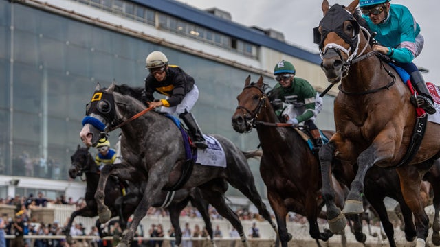 Preakness Horse Racing 