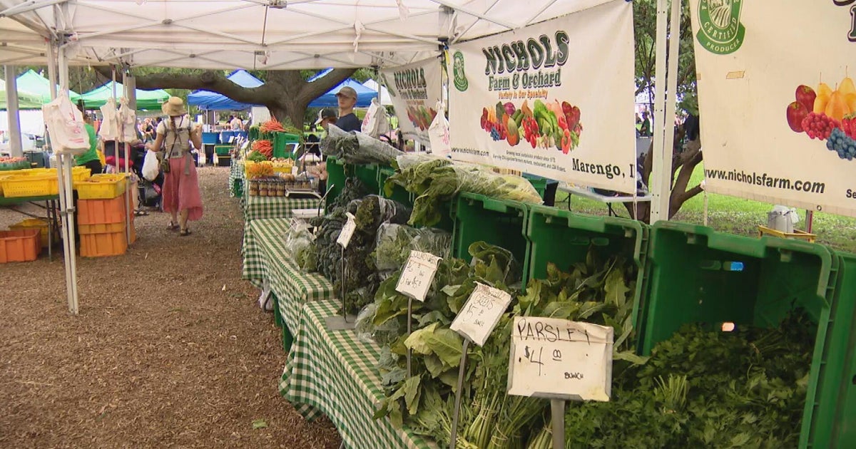 cbsnews.com - Marissa  Perlman - Cyclosporiasis outbreak sends local Illinois farms' lettuce sales skyrocketing