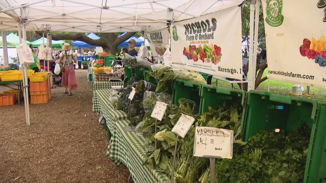 farmers-market-greens.jpg 
