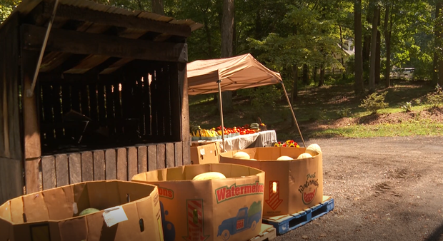 farm-stand.png