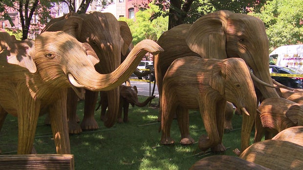 Great Elephant Migration
