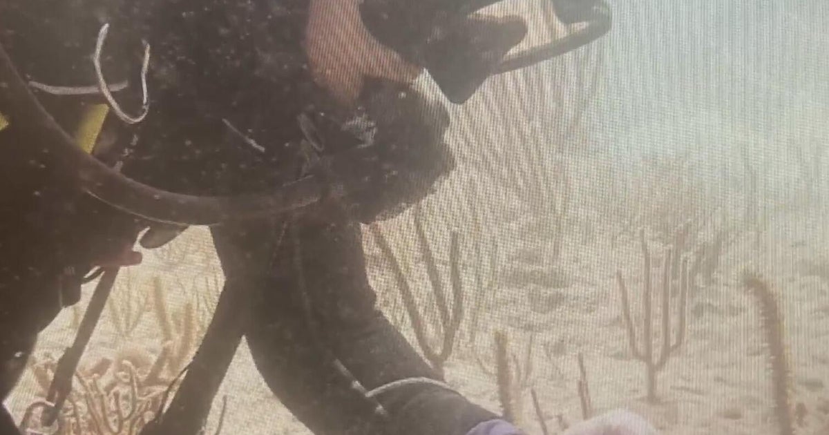 South Florida marine scientists use 