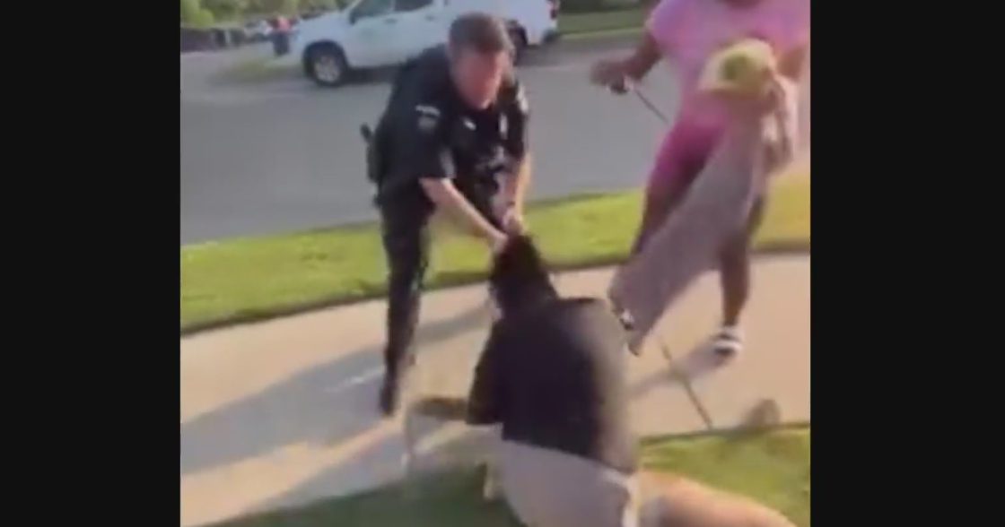 Royse City police officer fired after viral violent pool confrontation, department says