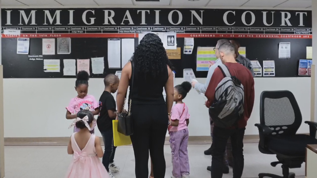 immigration-cout.png 