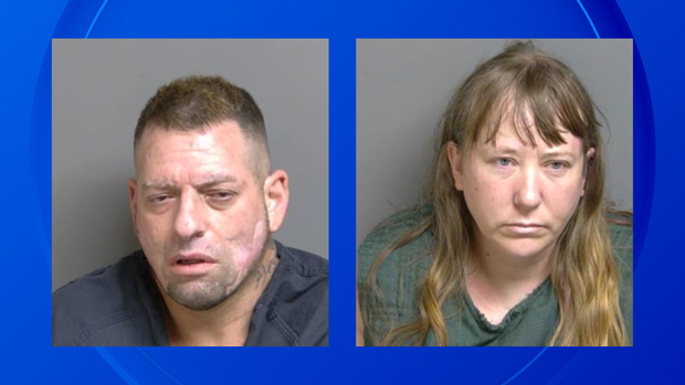 Michigan couple accused of throwing explosives in neighbor's yard