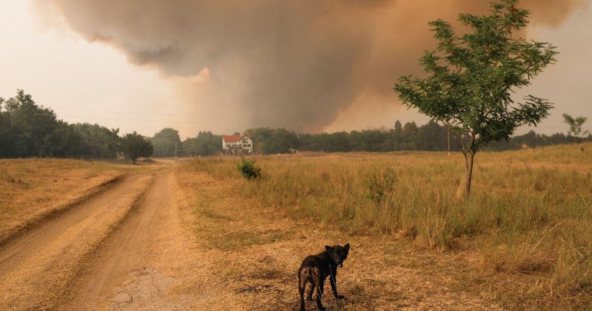 Europeans face energy crisis as heat wave brings wildfires and drought