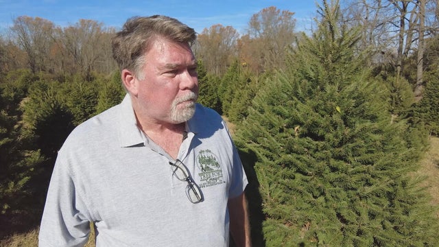 Rady Bates speaks to a reporter at his Christmas tree farm 