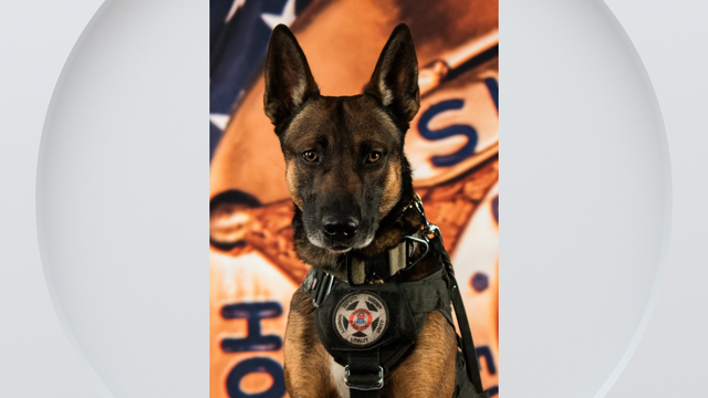 k9-styx-el-paso-county.png 