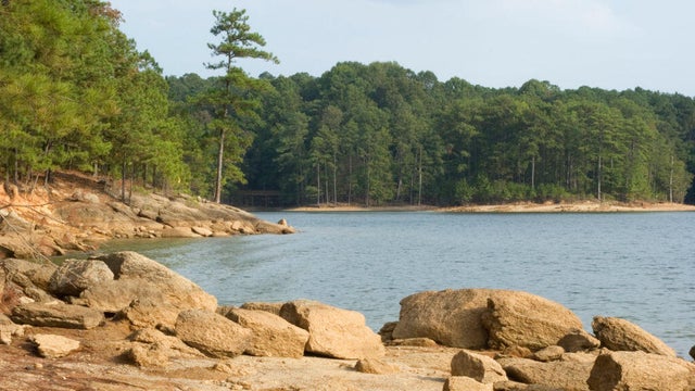 Rocky Shoreline of Lake Allatoona 