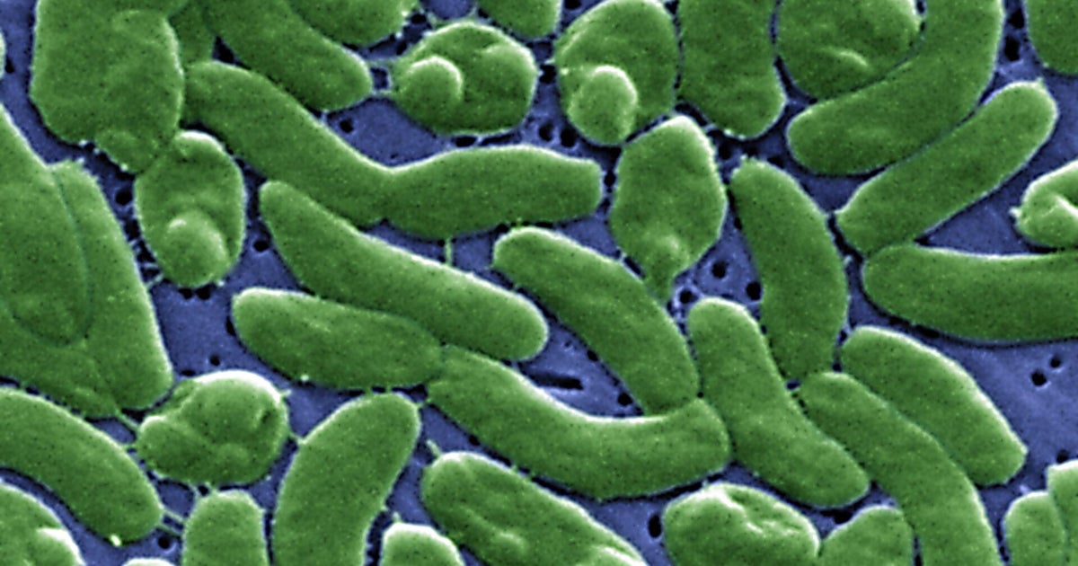 How to protect yourself from flesh-eating bacteria as concern grows for swimmers