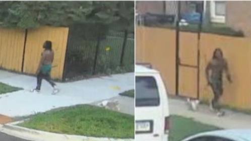 west-humbodt-park-car-burglary-suspect.png 