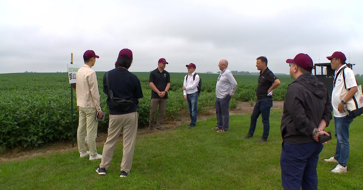 cbsnews.com - Jason  Rantala - Taiwan soybean buyers visiting southern Minnesota farm amid tough season