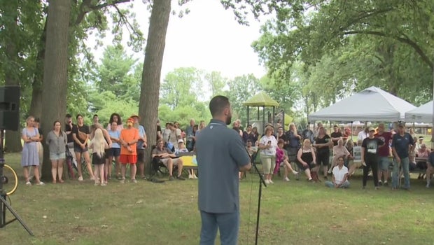 Dearborn residents divided over project that could knock down century-old trees