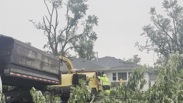Flossmoor cleanup 