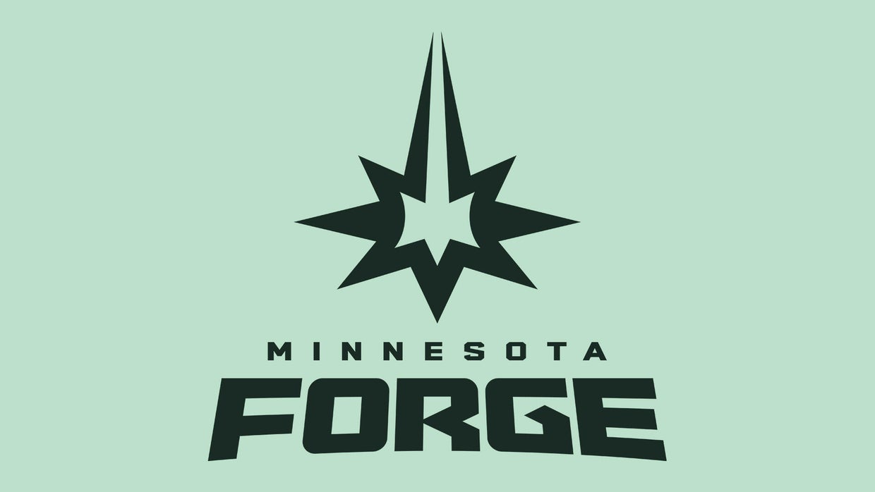 Twin Cities' new professional women's volleyball team unveils official ...