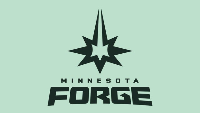 mn-forge.jpg 