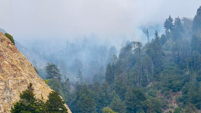 Timber Fire smoke and fog 