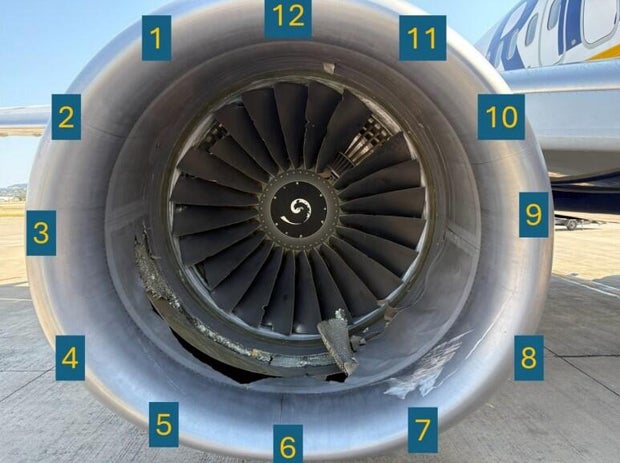 Evidence of bird strike found after passenger nearly sucked out of Ryanair flight's broken window, NTSB says 