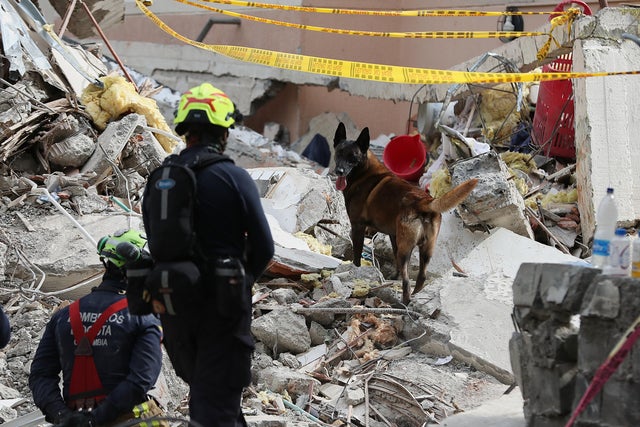 Colombia earthquake survivor search enters 'final phase' as 72-hour rescue window nears end; crews work through third night in Cali, Pereira