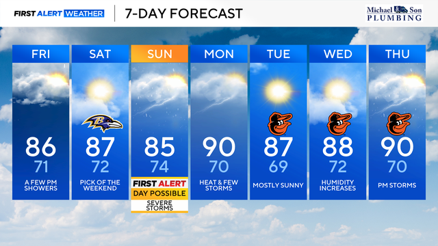 am-7-day-2026-08-14t081905-652.png 