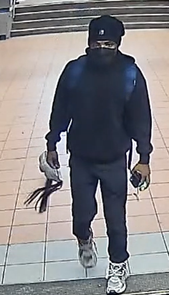 maskedsuspect.png