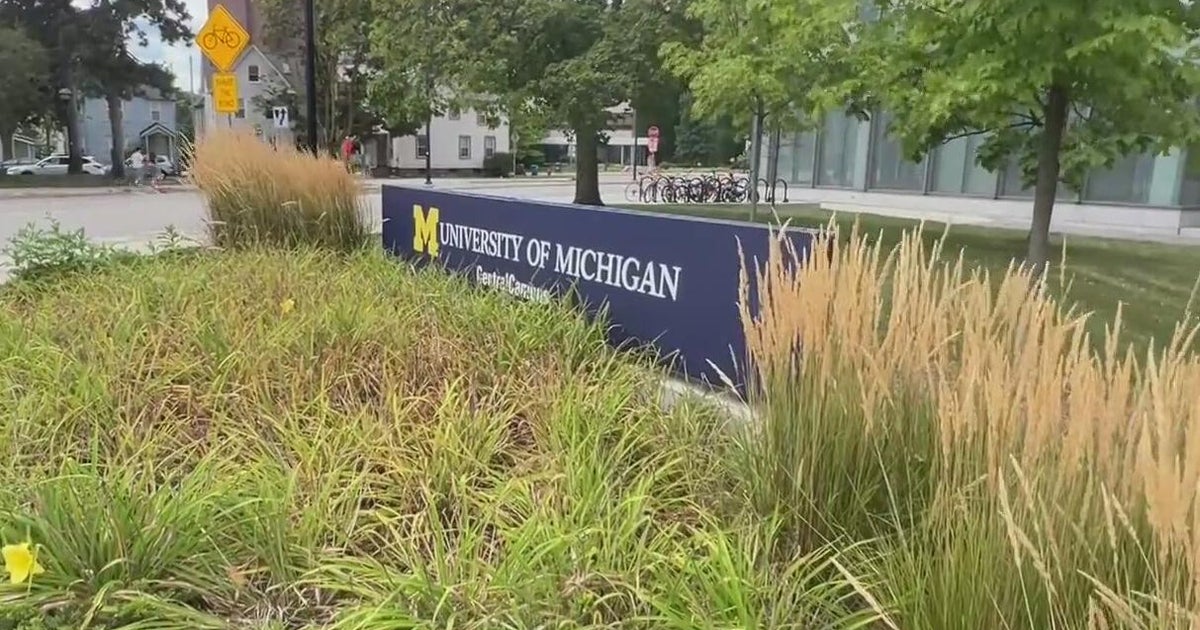 University of Michigan names C. Cybele Raver as next college president