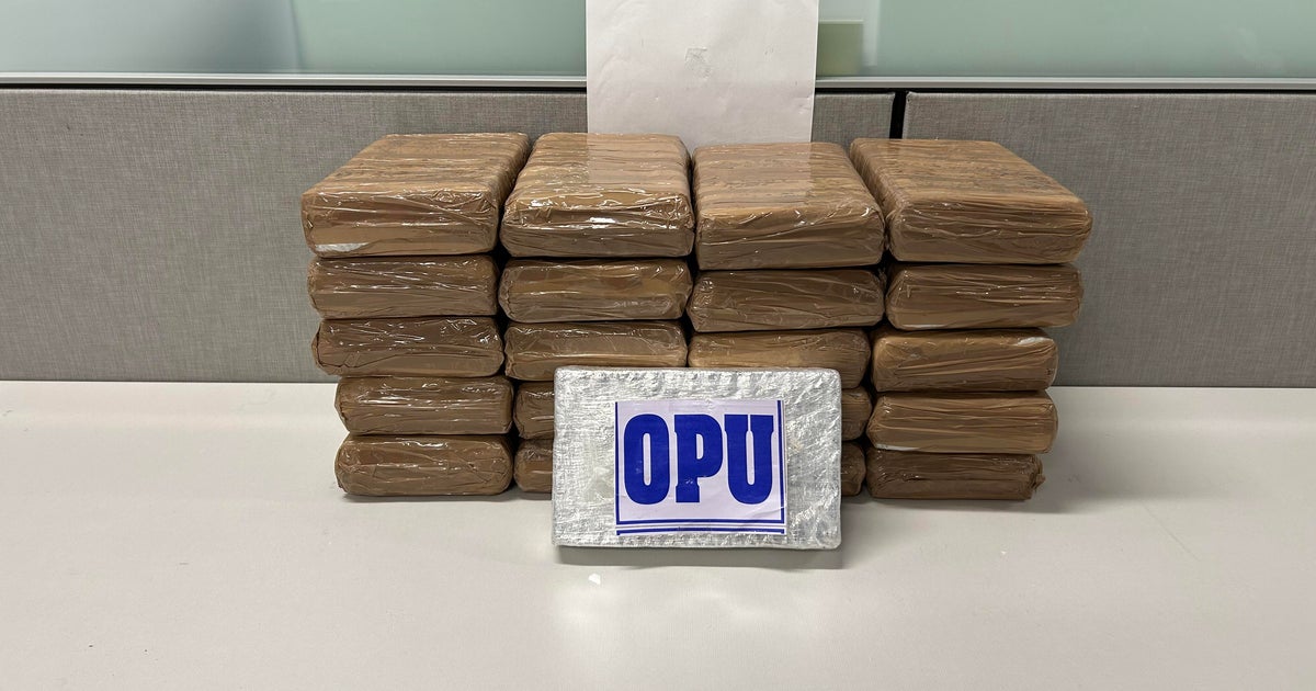 Law enforcement seizes $900k worth of cocaine in packages across New York City