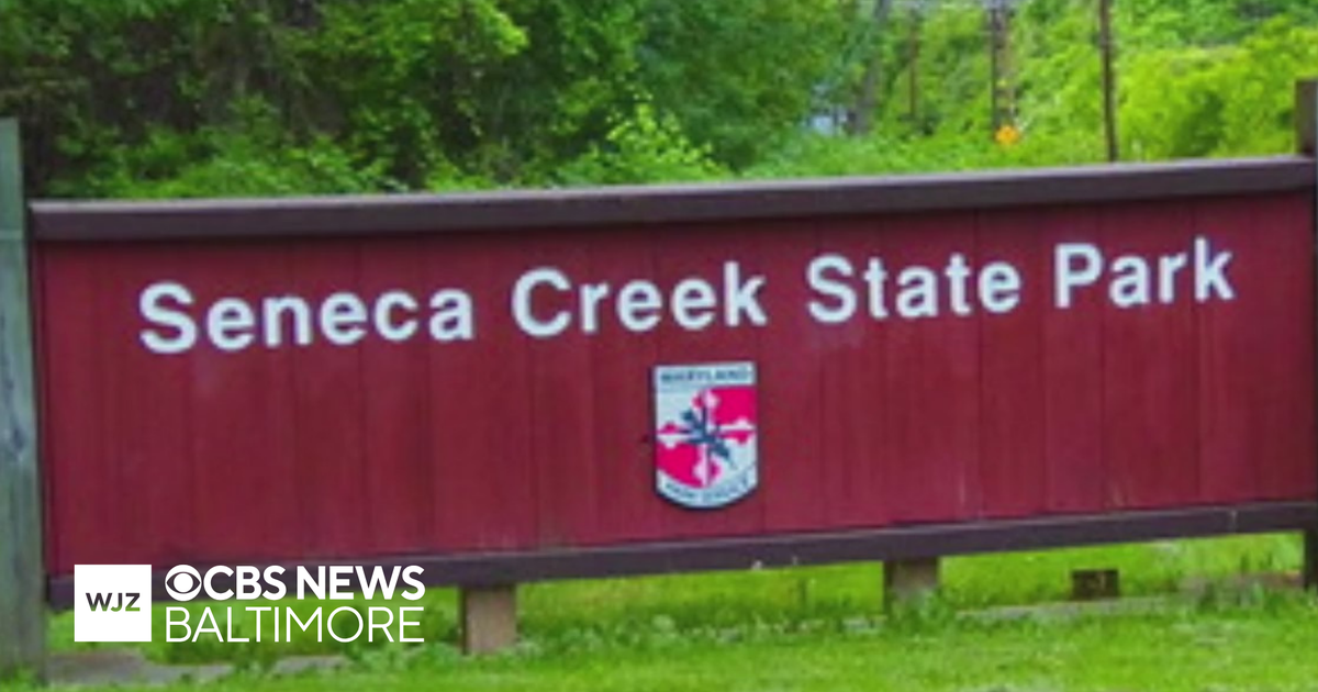 Beaver at Maryland state park tests positive for rabies