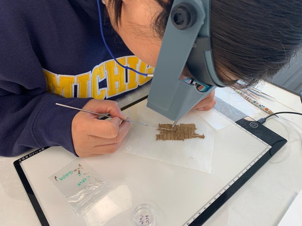 Conserving Papyri 