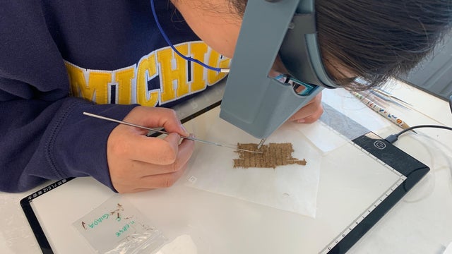 Conserving Papyri 