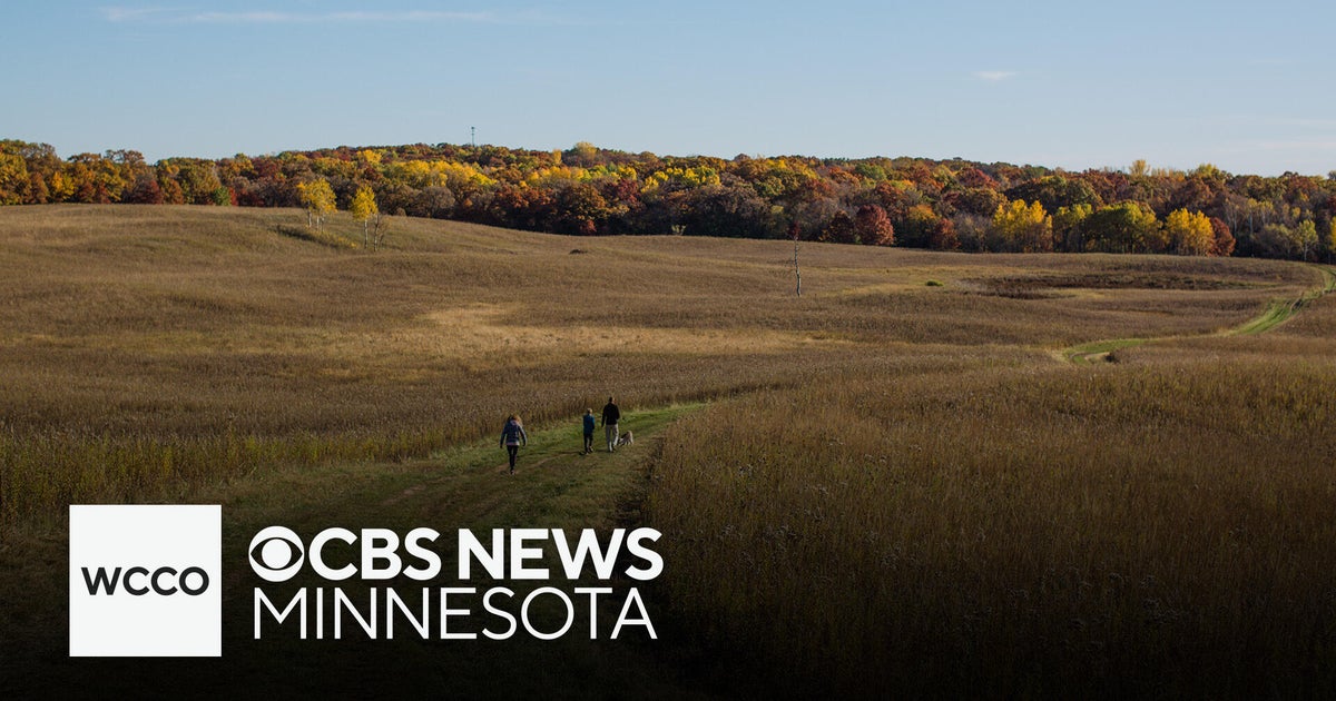 An overview of Minnesota's fall weather outlook