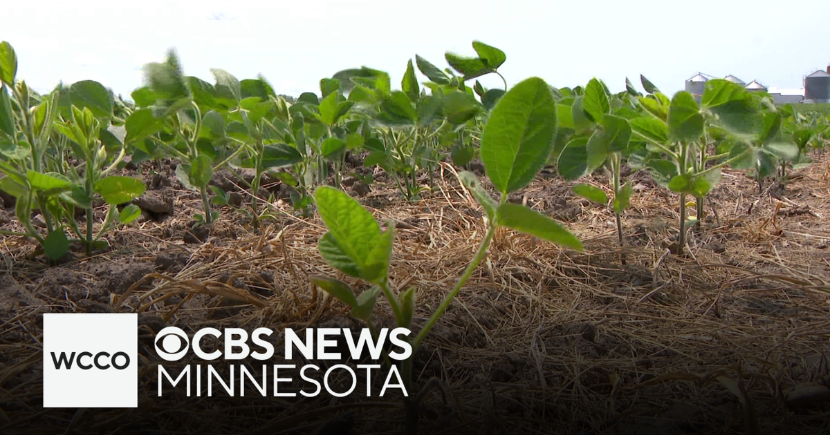 How to manage the growing number of produce recalls