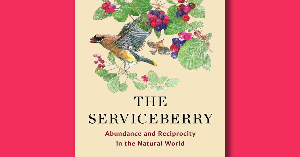 Откъс от книга: „The Serviceberry“ от Робин Уол Кимерър