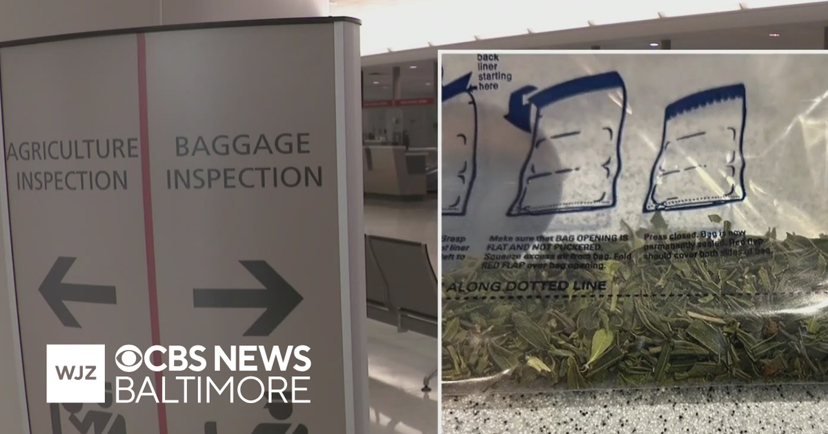 Customs official speaks to recent khat busts at area airports