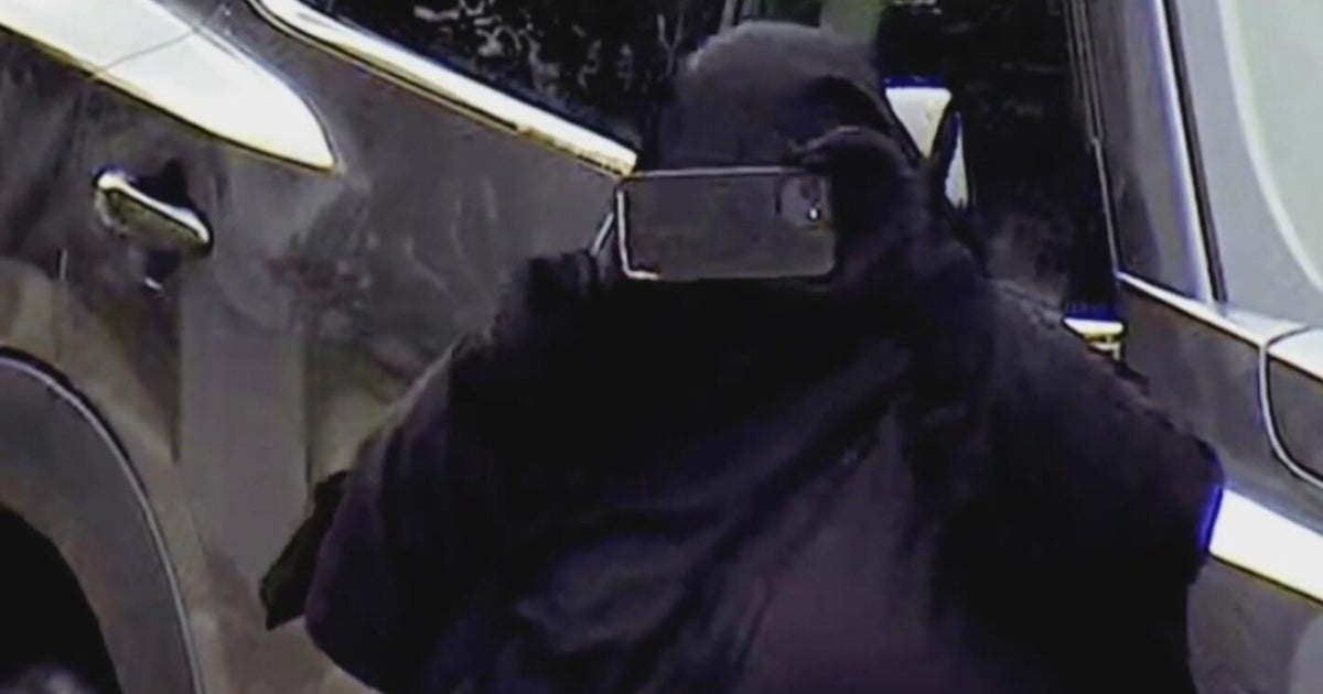 Woman accused of plotting "major attack" on New York State Capitol